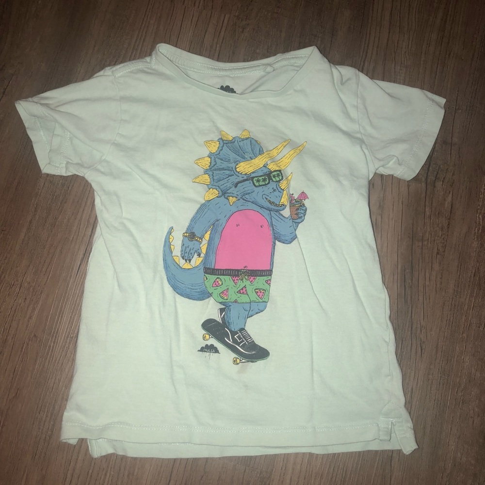 Boys dinosaur tee
